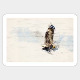 Watercolor Bald Eagle in Flight Sticker